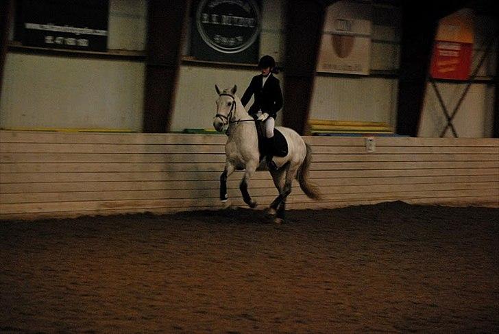 Anden særlig race Jessie - Fjeeeeeeeeeeeeder :-P billede 2