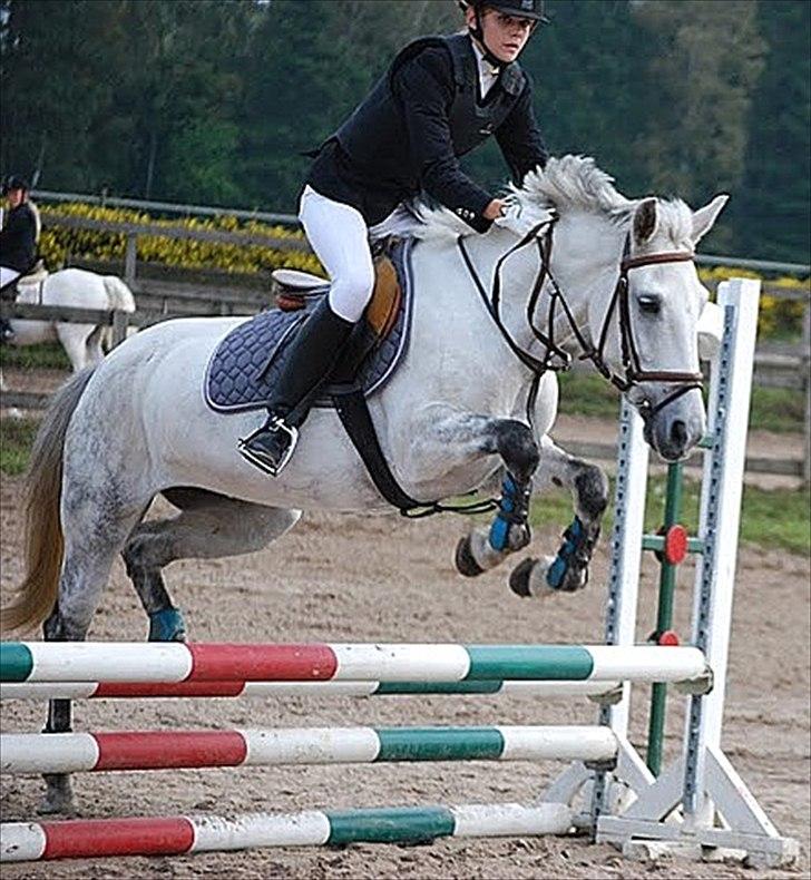 Anden særlig race Jessie - Første springstævne 70 cm! Vi flyyyyyyver jo :-P Foto: ? billede 6