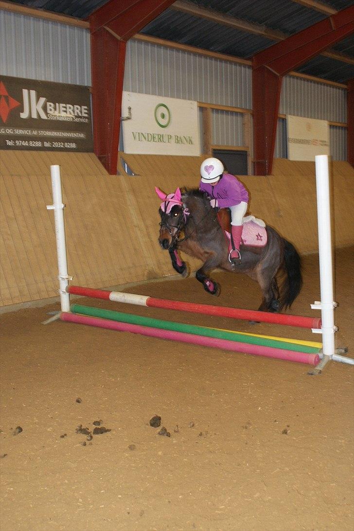 Anden særlig race Fifi (død):'-( - Til fastelavnsfest på rideskolen. Jeg er selvfølgelig monte´ rytter. det går fint med at springe i den galopsadel vi har lånt af Beth. billede 12