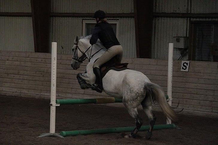 Anden særlig race Jessie - Gode numser siger jeg bare! ;-) foto: ? billede 8