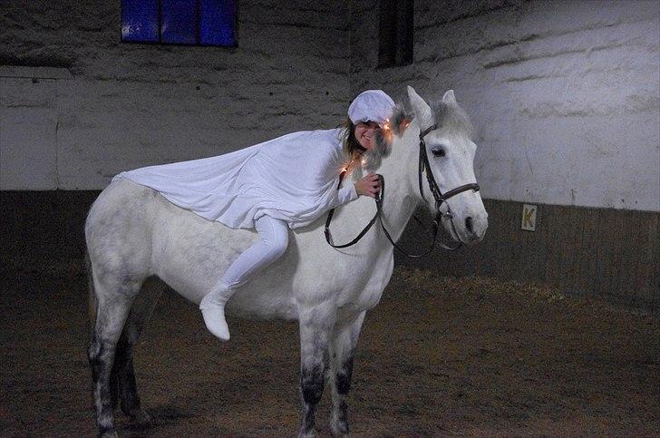 Anden særlig race Jessie - Luciaaaa <3 Foto: muddi billede 9