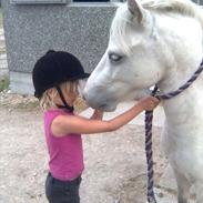 Anden særlig race Herkules