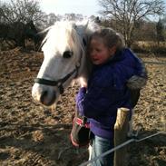 Anden særlig race Mickey 