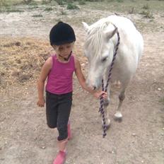 Anden særlig race Herkules