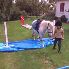 Anden særlig race Herkules