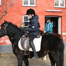 Anden særlig race Lucy