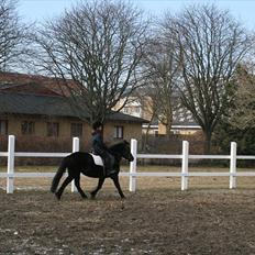 Anden særlig race Lucy
