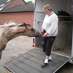 Anden særlig race Åbygårds Fred Flintstone