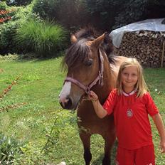 Anden særlig race mille