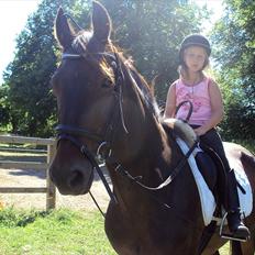 Connemara carat mårsø <3