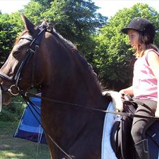 Connemara carat mårsø <3