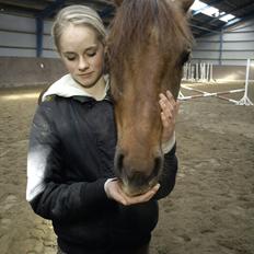 Anden særlig race Zafir