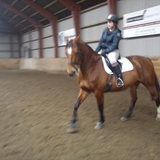 Anden særlig race Rasmine