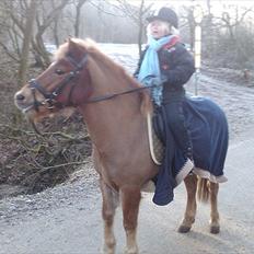 Anden særlig race Otto 