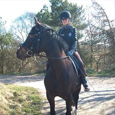 Anden særlig race Houmgaards Shakira<3.