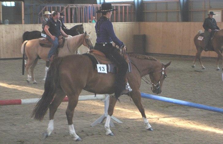 Quarter Montys Fancy Zip - fynsmesterskaber 2010 billede 6