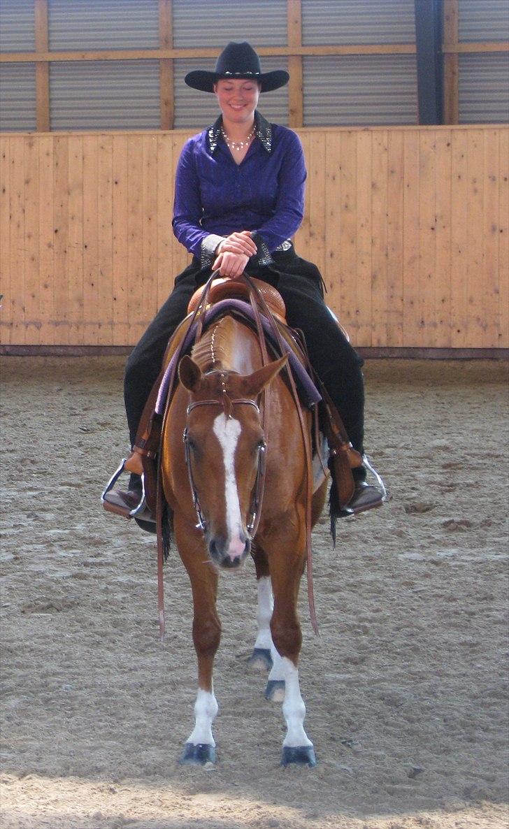 Quarter Montys Fancy Zip - fyns mesterskaber 2010 billede 7