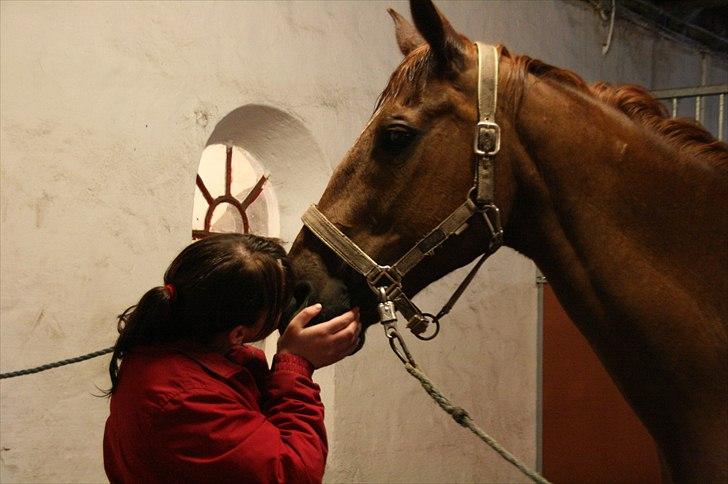 Anden særlig race Irish Girl ~ Grisen - Fordi jeg elsker dig af hele mit hjerte Gris <3 billede 4