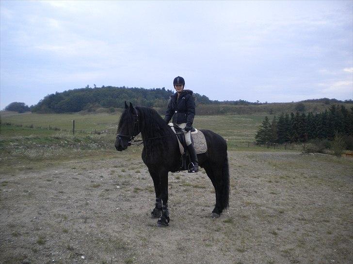 Frieser Jetse Fan Rewert STER billede 14