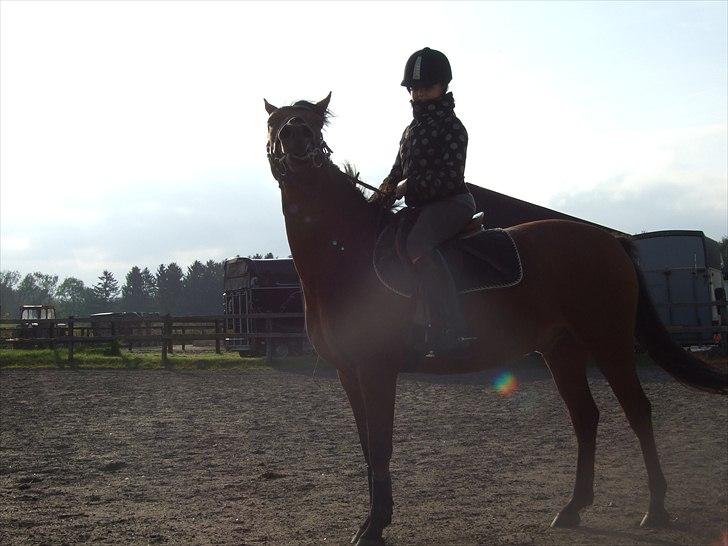 DSP zeba  - Foto Frederikke Larsen billede 15