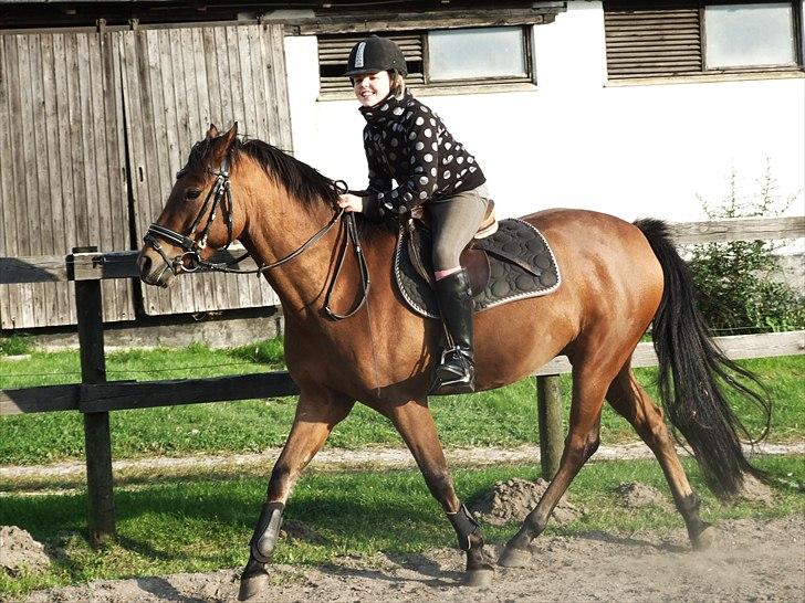 DSP zeba  - Foto Frederikke Larsen billede 16