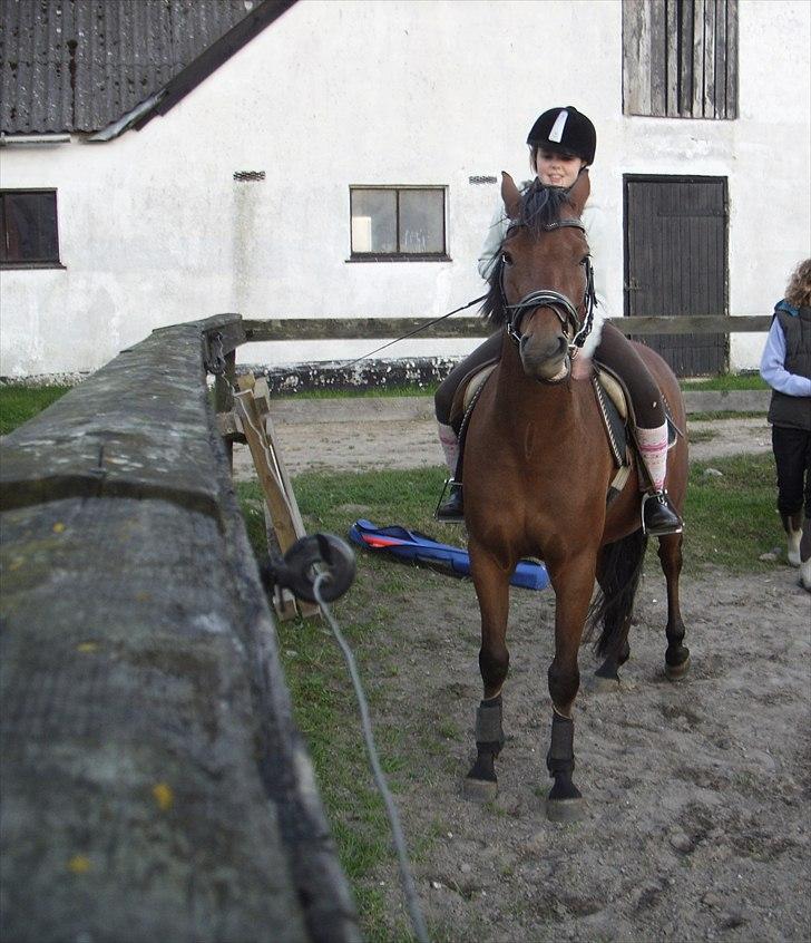 DSP zeba  - til ponygames på heinegår (Foto: min mor) billede 17