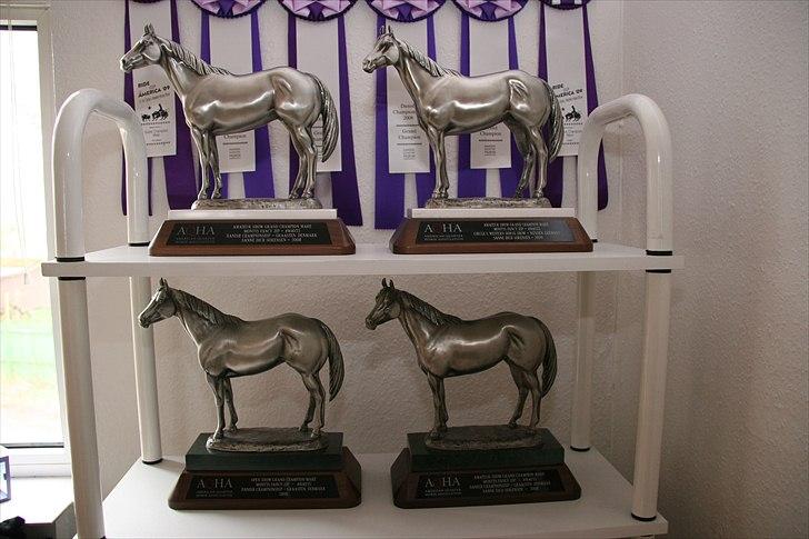 Quarter Montys Fancy Zip - Nogle af vores grand champion trofæer billede 20