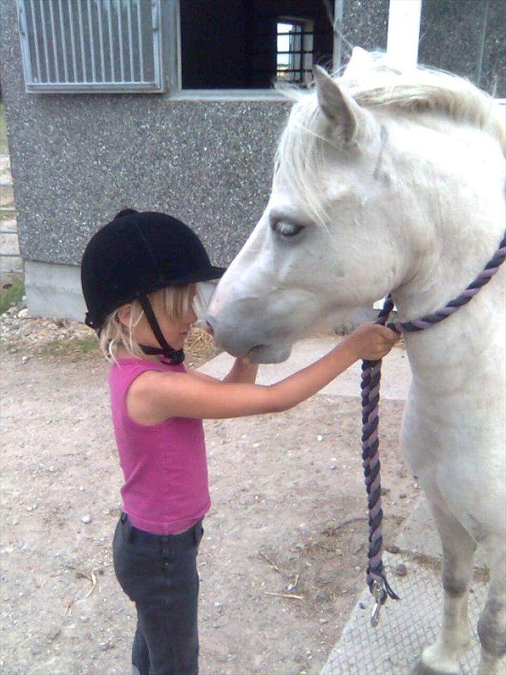 Anden særlig race Herkules billede 1