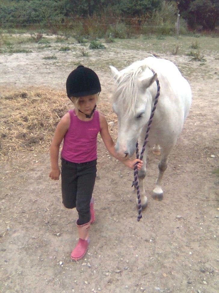 Anden særlig race Herkules - elsker dig Herkules<3 billede 2