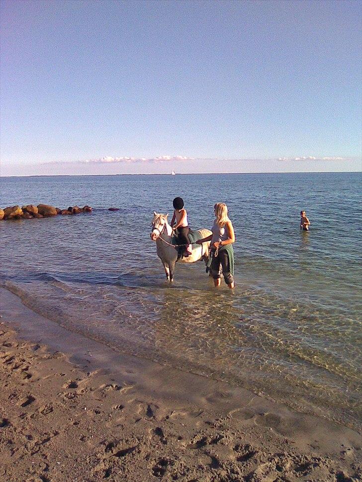 Anden særlig race Herkules - herkules mit dejlige badedyr;) billede 4