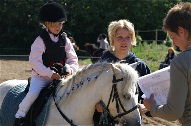 Anden særlig race Herkules billede 10