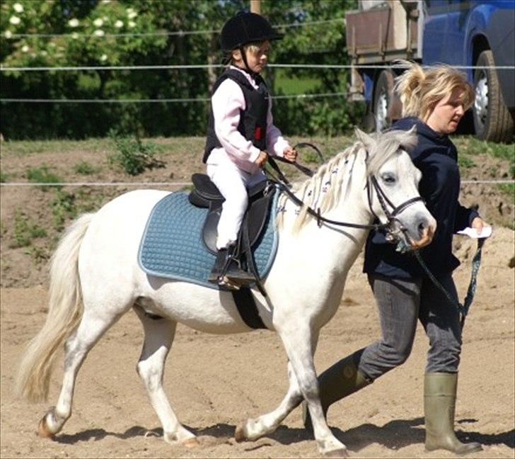 Anden særlig race Herkules billede 11