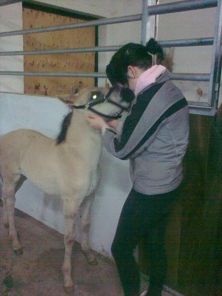 Anden særlig race Lumina ïn durere - Da Lumina var få uger gammel :-) billede 2