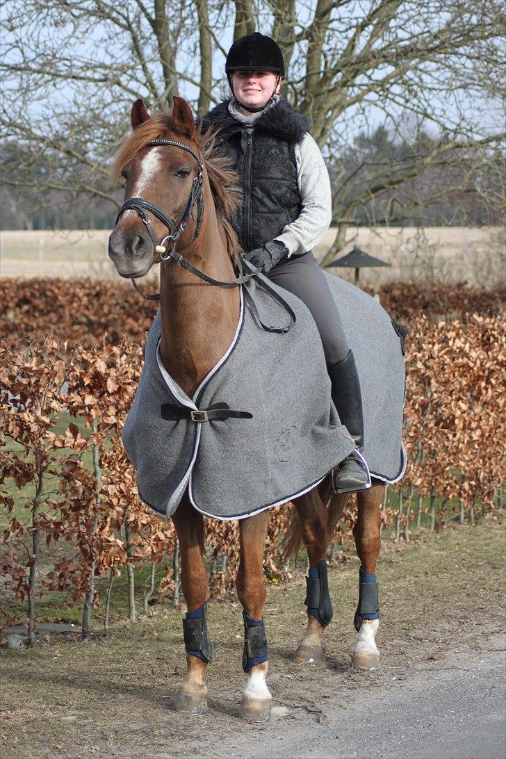 New Forest Lundemarksgårds Ild Opal - Mig og Ild Opal på tur. billede 8