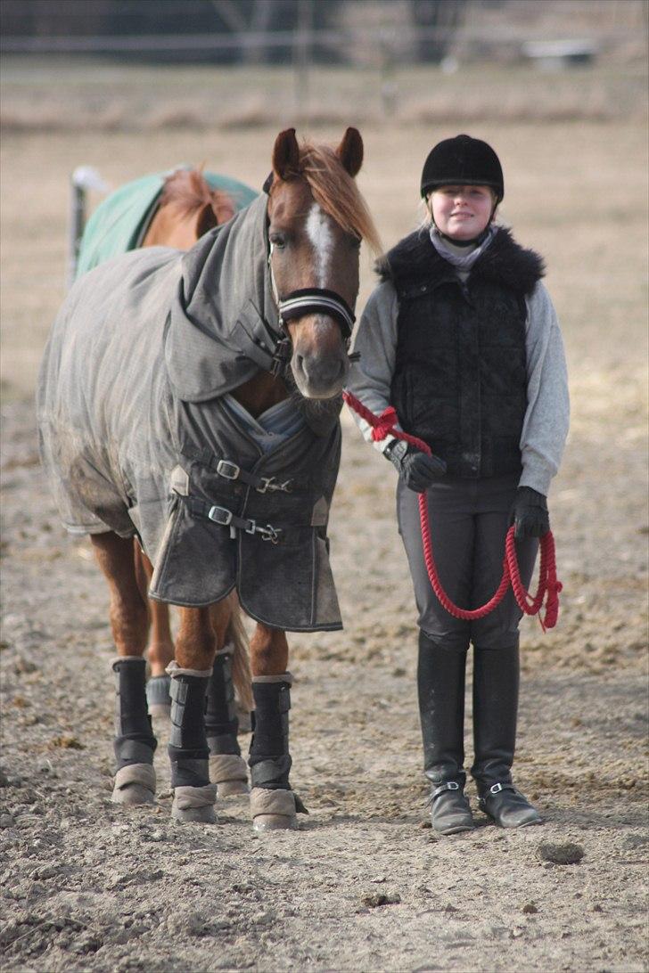 New Forest Lundemarksgårds Ild Opal - Mig og Ild Opal på vej ind fra folden. billede 11