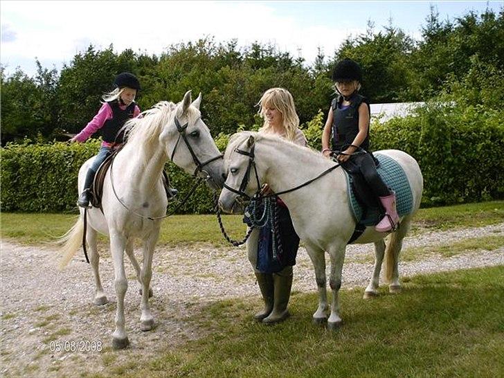 Anden særlig race Herkules - min lillesøs Anemone og Fenella, mig og herkules og mor på tur. billede 15