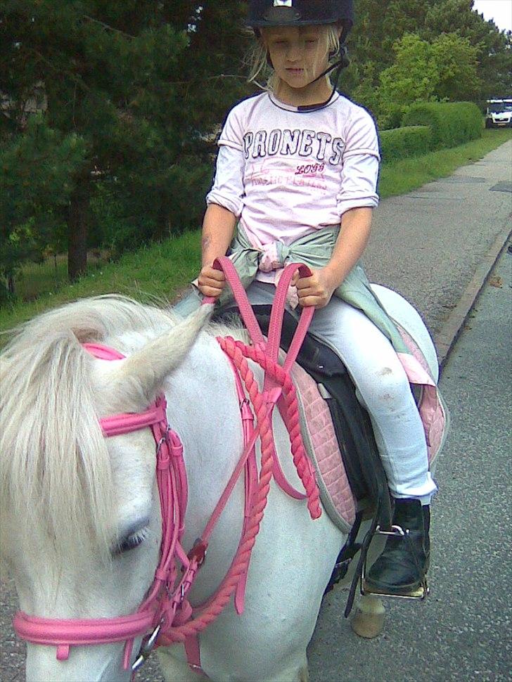 Anden særlig race Herkules billede 16