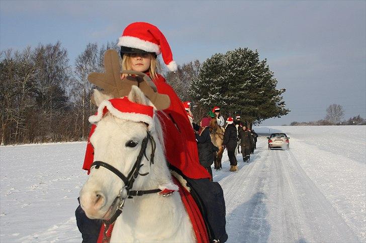 Anden særlig race Herkules - juletur 2010 billede 17