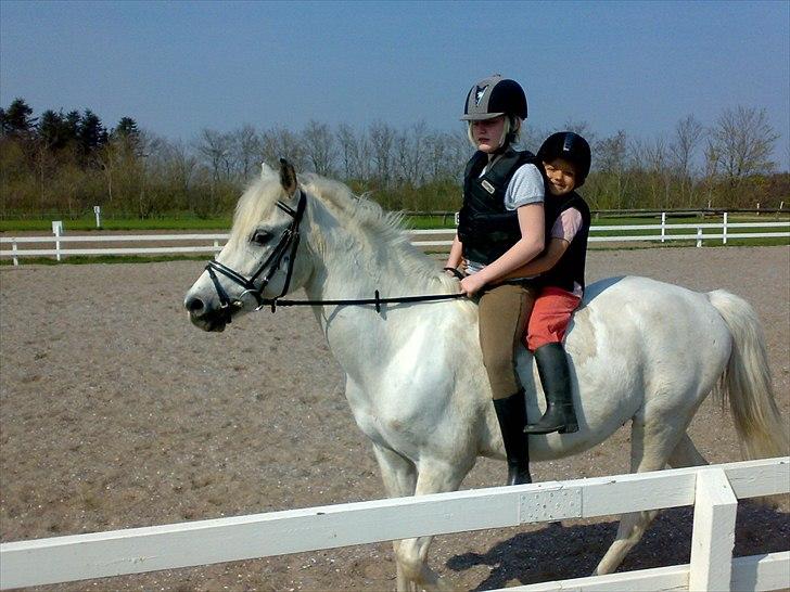 Anden særlig race Frederik - Sommer ridning med 2 tøser
Emma på 11 er rigtig god til at ride Frederik :) billede 16