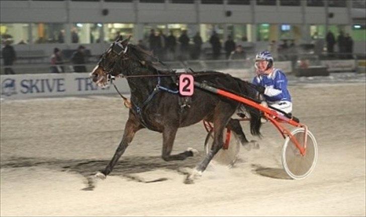 Traver Kostonia Hedebo - skive 20 dec 2010 billede 9