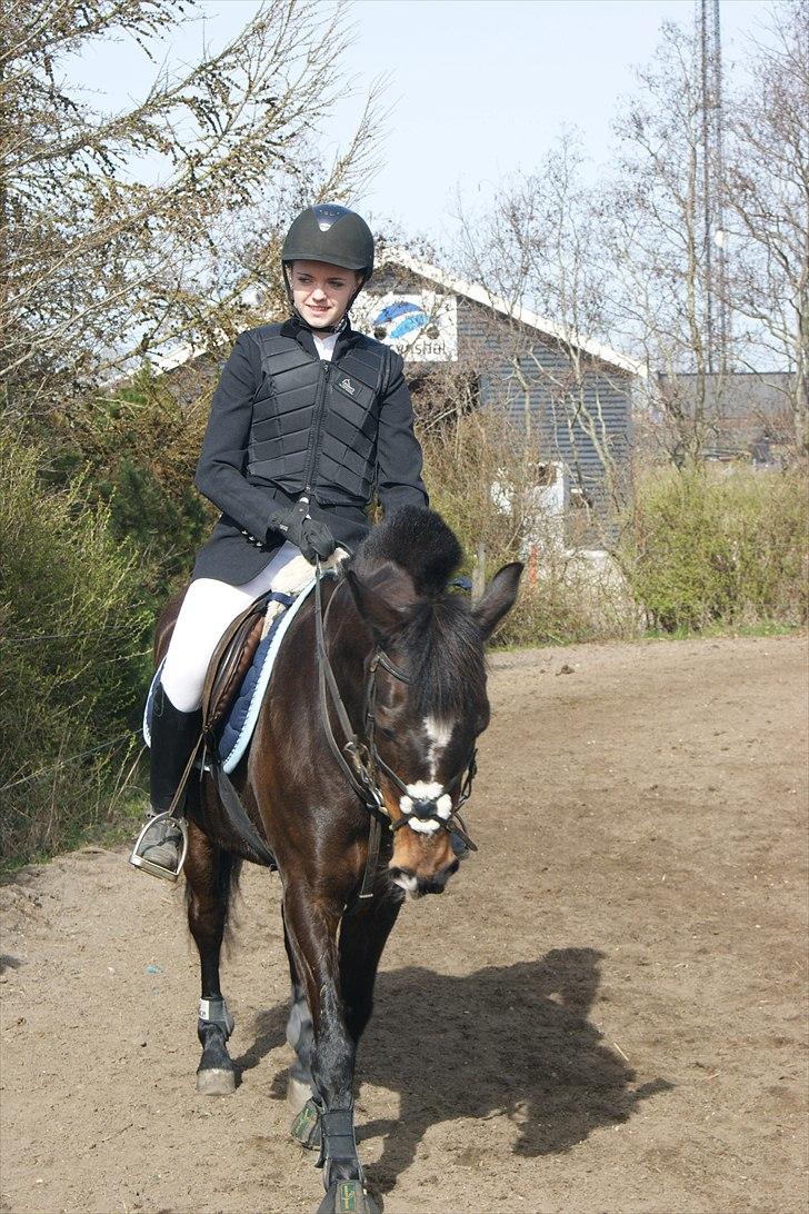 Anden særlig race Le Fleur billede 6