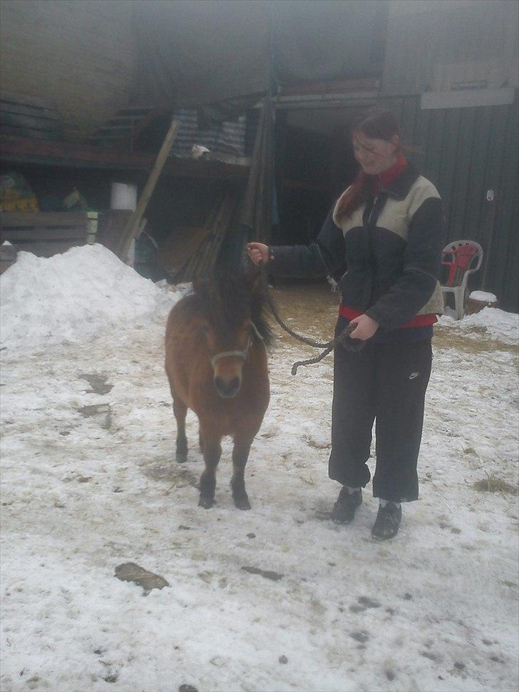 Anden særlig race charlie billede 7