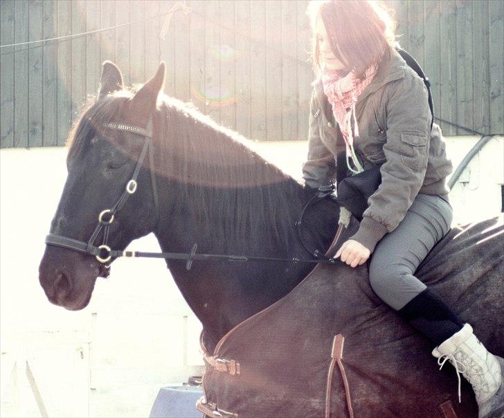 Anden særlig race Donhill  ( x-Part :'( ) - Og der bakkes bidløst - i starten kunne jeg ikke engang bakke ham med bid! :-) [ foto: Laura Beknow ] billede 19