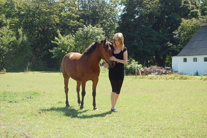 Anden særlig race . Patrick'<3 billede 7