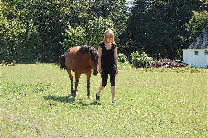 Anden særlig race . Patrick'<3 billede 8