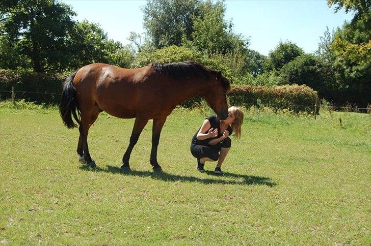 Anden særlig race . Patrick'<3 billede 10