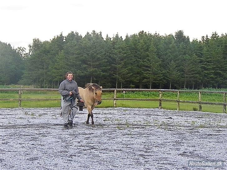 Anden særlig race Nali - Hvil i fred <3 billede 19