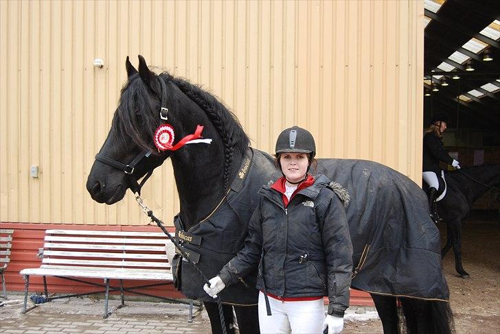 Frieser Jetse Fan Rewert STER billede 16