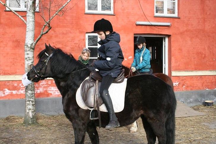 Anden særlig race Lucy - Første gang jeg rider hende Foto: Mor billede 1