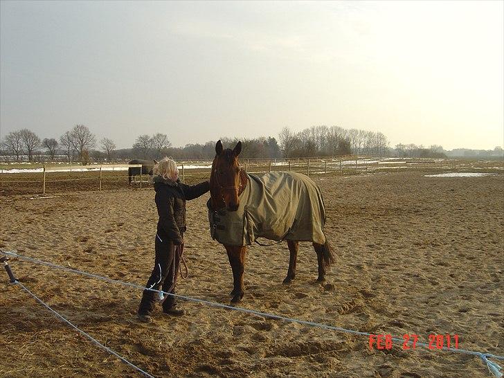 Dansk Varmblod Twiggi  "Prinsessen"<3 - 9. elsker dig Twiggi<3 du fylder så meget i mit hjerte. Foto: min mor billede 9